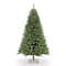 6.5ft. Pre-Lit Northern Fir Artificial Christmas Tree, Clear Lights